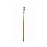 Big-Cane-1-TN