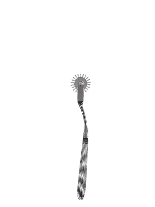 Wartenberg Wheel, Prickly Toy for Sensation Play - Image 2