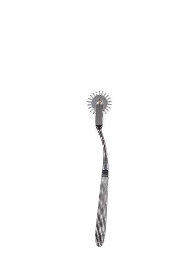 Wartenberg Wheel, Prickly Toy for Sensation Play